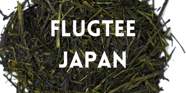 Japan, Tee, Tea, Shincha, Sencha, Morimoto