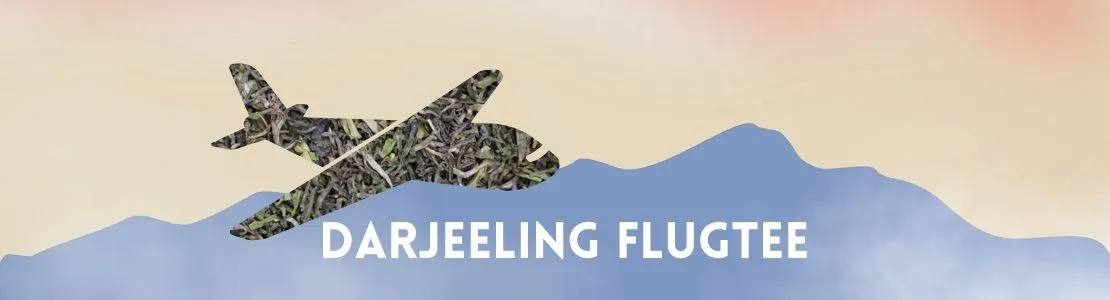 Darjeeling Flugtee