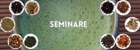 Seminare