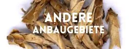 Weißtee andere Anbaugebiete