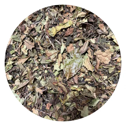 China Fujian Pai Mu Tan Special Grade - Weisstee