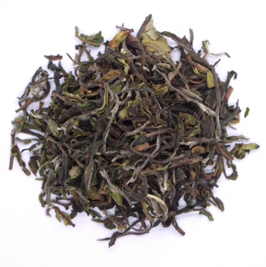 Darjeeling Risheehat Flugtee DJ 06 bis DJ 08 2026 SFTGFOP1 Schwarztee