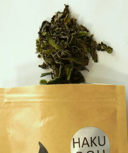 Japan Haku-Dou Watanabe Bio (BIO) 20g - Weißtee (limitiert)