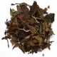 China Fujian Pai Mu Tan Special Grade - Weisstee