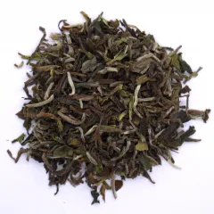 Darjeeling Seeyok DJ1 Flugtee 2026 SFTGFOP1 Schwarztee