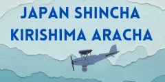 Japan Flugtee 2026 BIO Kirishima Aracha Shincha 80g Grüntee