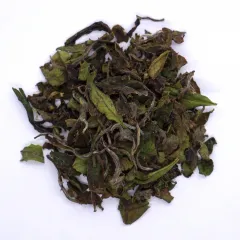 Japan Haku-Dou Watanabe Bio (BIO) 20g - Weißtee (limitiert)